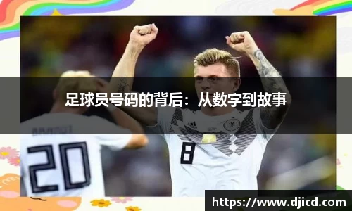 完美体育官网